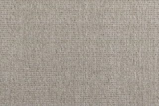 T01009727_CL