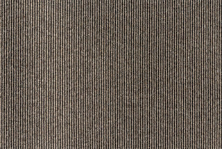 T01009818_CL