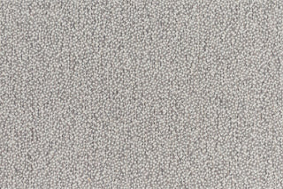 T01009904_CL