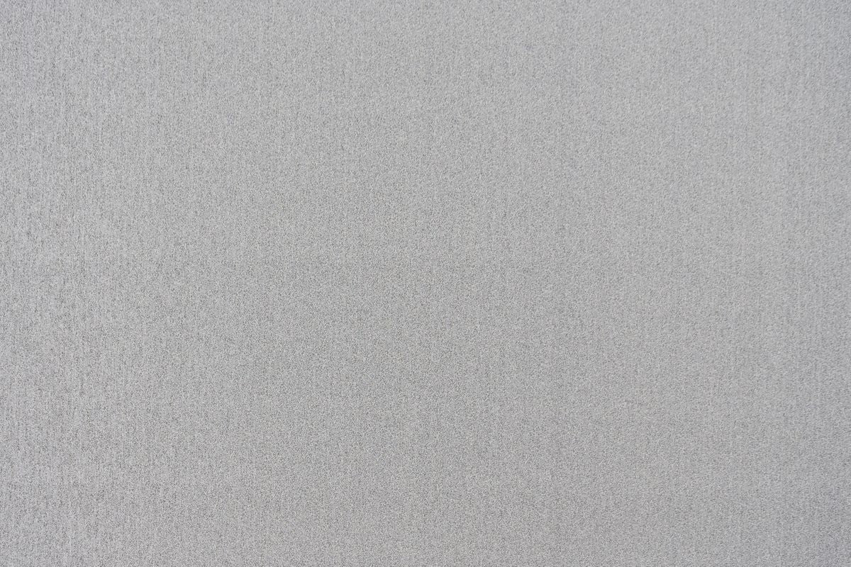 T01009905_ALT2