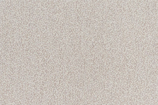 T01009906_CL