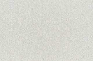 T01009907_CL