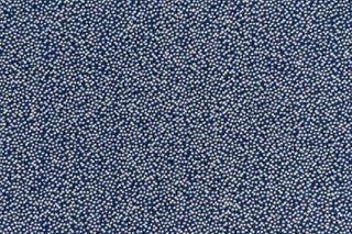 T01009909_CL