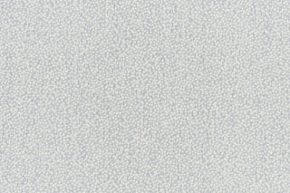 T01009910_CL