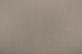 T01009985_ALT2