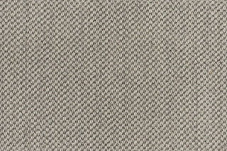 T01009989_CL