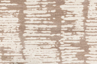 T01010169_CL