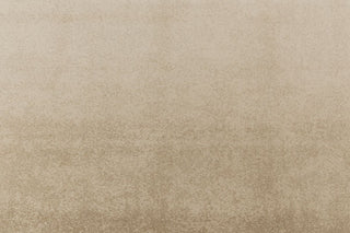 T01010178_ALT2