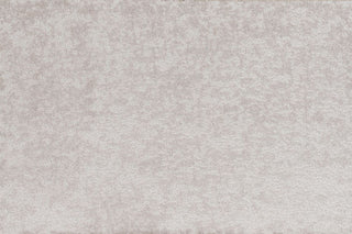 T01010180_CL