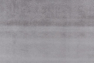 T01010181_ALT2