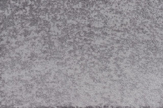 T01010181_CL