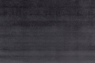 T01010182_ALT2
