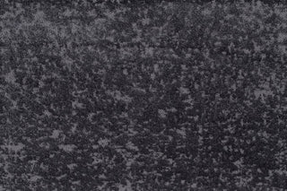 T01010182_CL