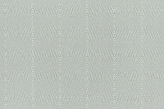 T01010389_CL