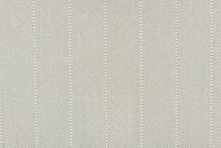 T01010393_CL