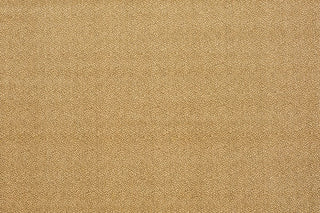 T01010485_ALT2