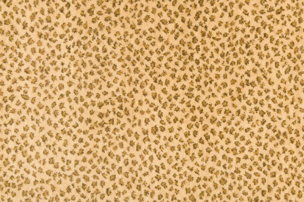 T01010485_CL