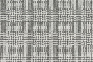 T01010569_CL