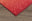 51 CARDINAL
