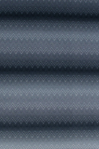 T01010583_ALT2