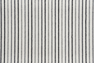 T01010595_CL