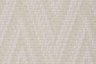 T01010634_CL