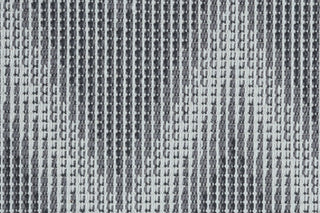 T01010639_CL