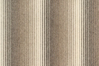 T01010642_CL