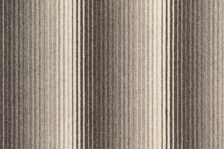T01010643_CL