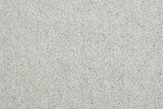 T01010726_CL