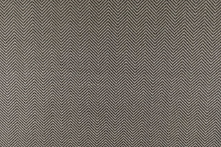 T01010777_CL