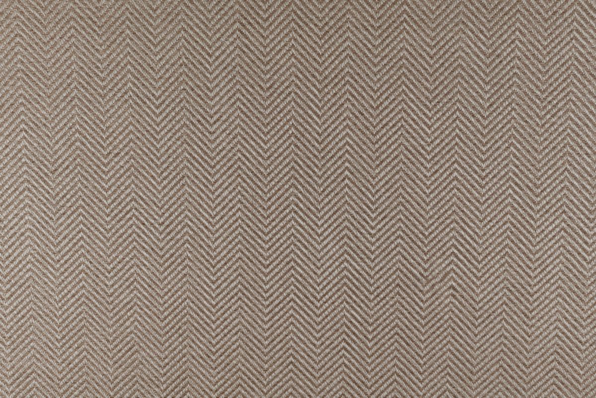 T01010778_CL