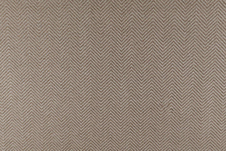 T01010778_CL