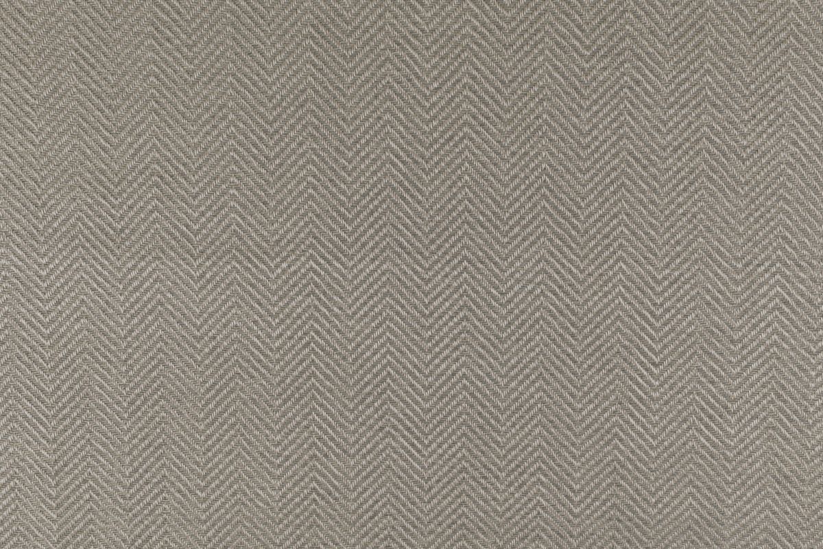 T01010781_CL