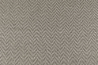 T01010781_CL