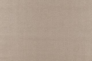 T01010782_CL
