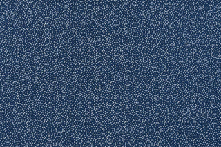 T01010929_CL