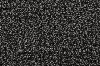 T01010931_CL