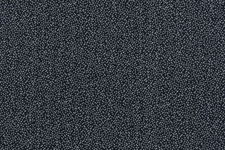 T01010932_CL