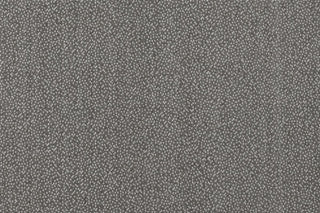 T01010933_CL