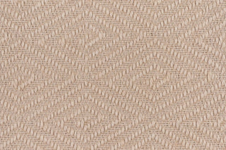 T01010969_CL