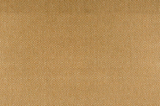 T01010972_ALT2