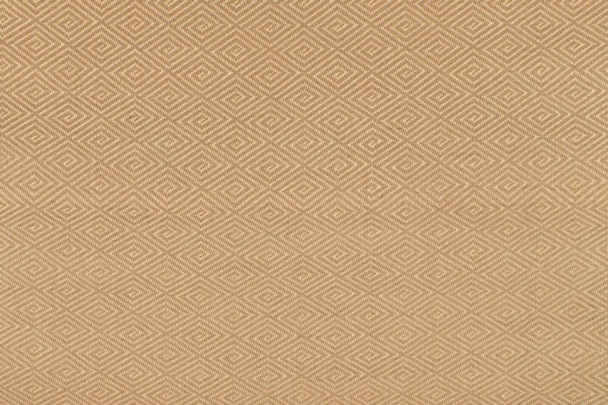 T01010979_ALT2