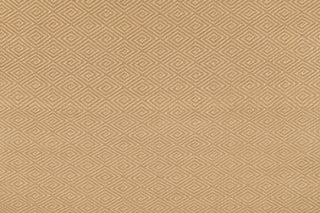 T01010979_ALT2