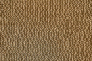 T01010982_ALT2