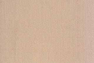 T01010984_ALT2