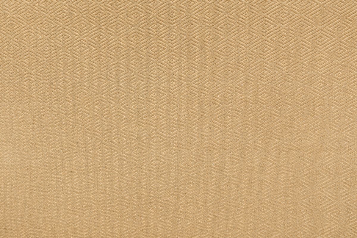 T01010998_ALT2