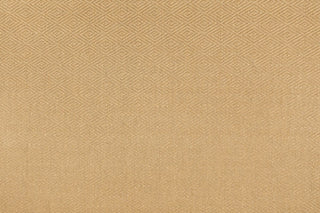 T01010998_ALT2