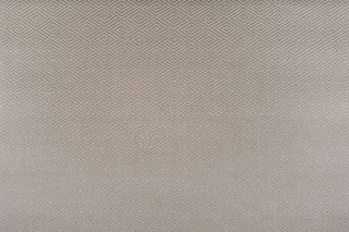 T01011001_ALT2