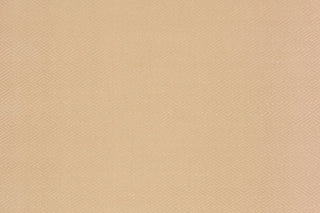 T01011004_ALT2